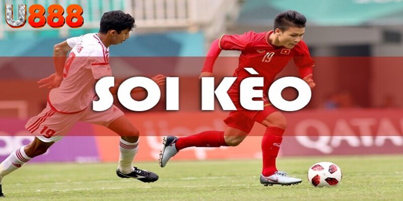 Mọi thông tin tại chuyên mục đều đảm bảo tính chính xác cao